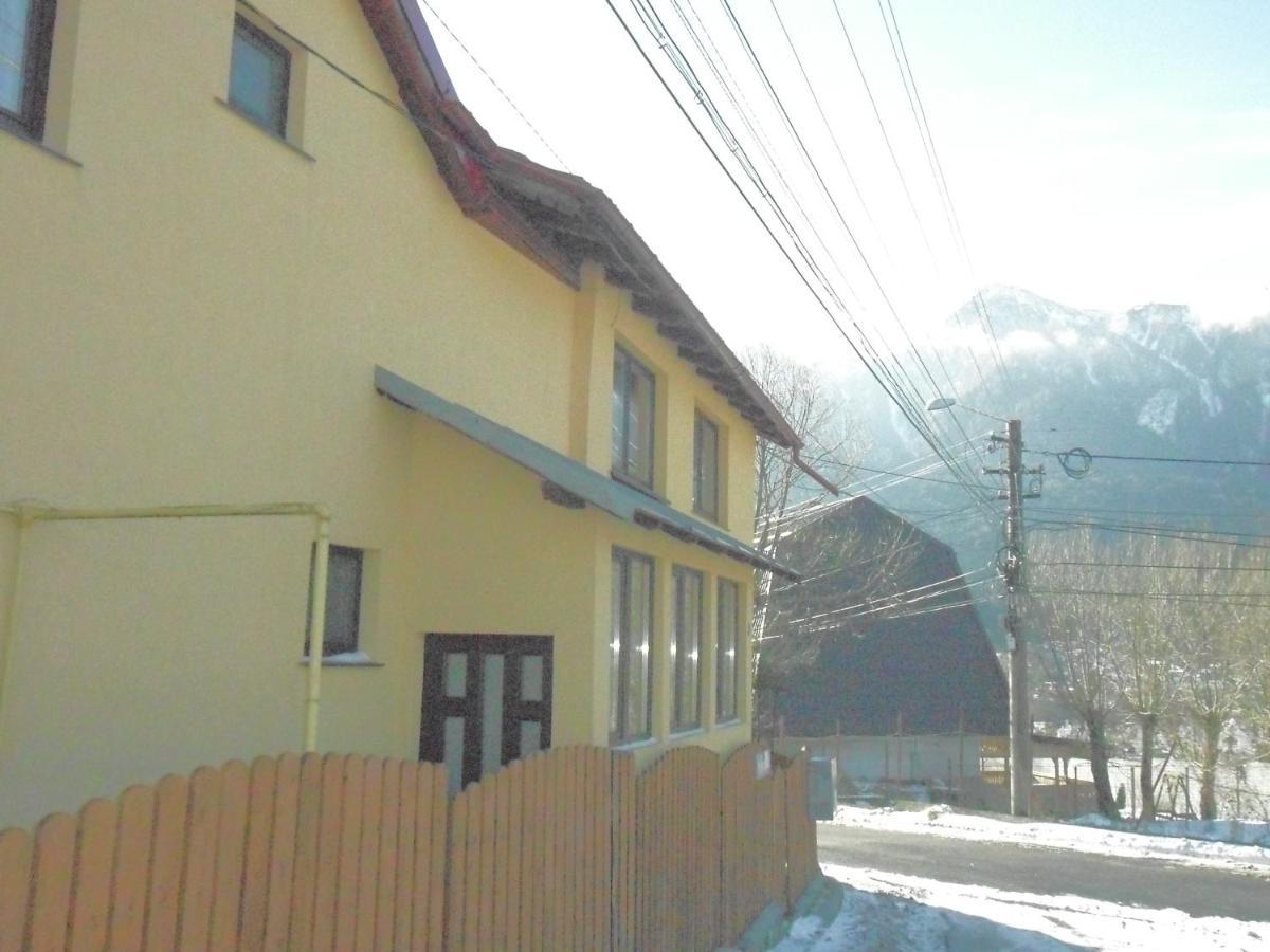 Casa Doina Otel Buşteni Dış mekan fotoğraf