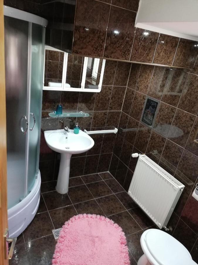 Casa Doina Otel Buşteni Dış mekan fotoğraf