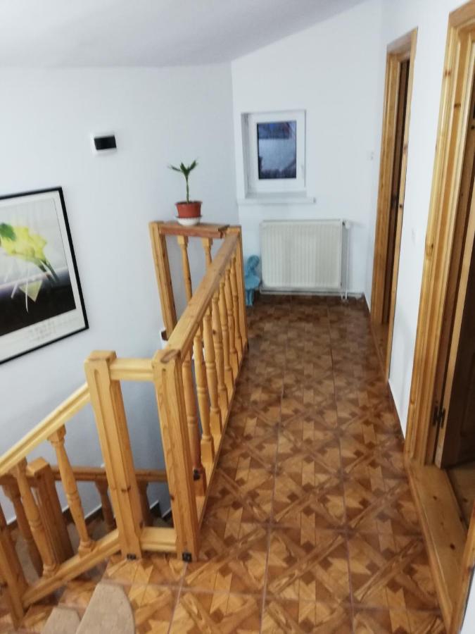 Casa Doina Otel Buşteni Dış mekan fotoğraf
